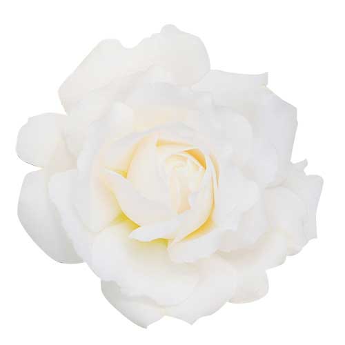 白色のバラ（00240）