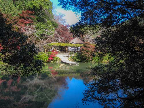 古民家と池と紅葉の写真（00374）