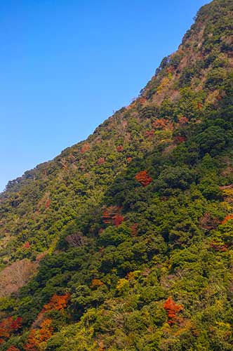 少し紅葉しかけの山の写真（00386）
