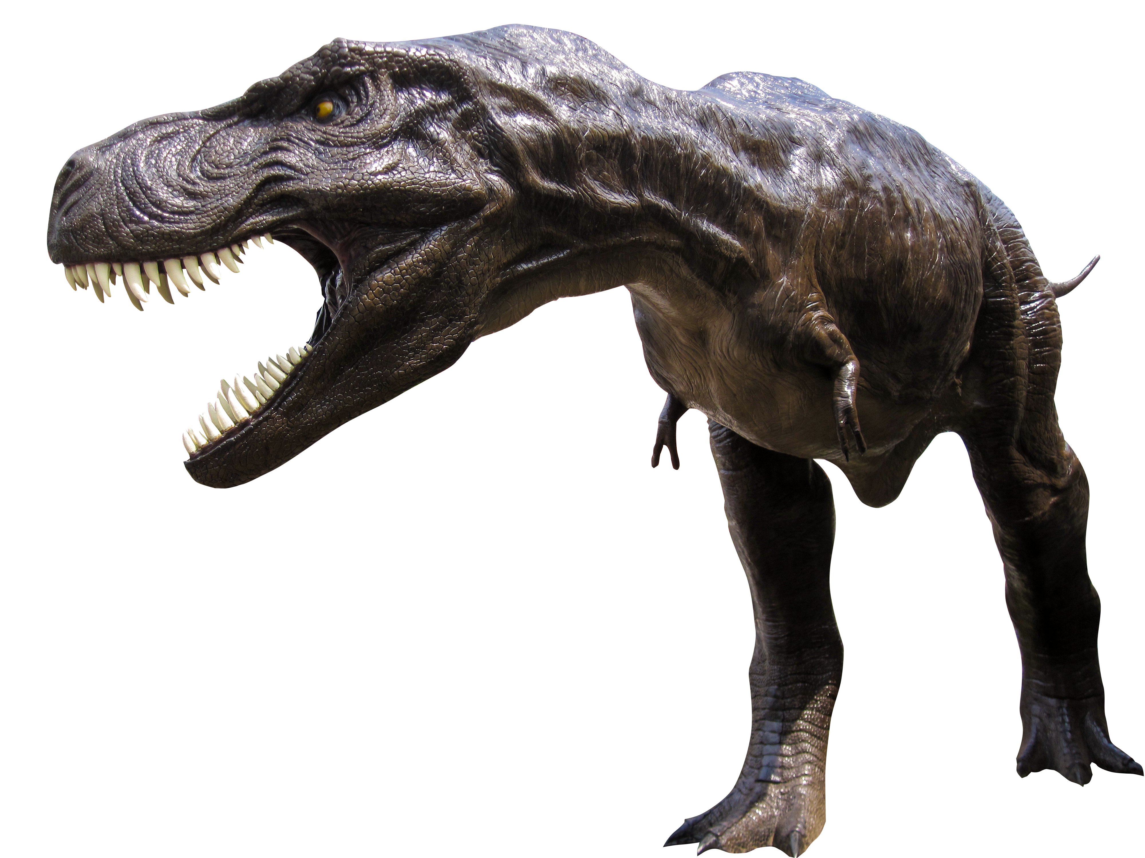 恐竜（00712）