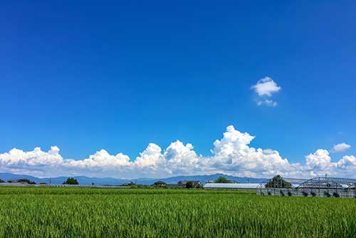 青空と田んぼ,田舎の風景（00793）