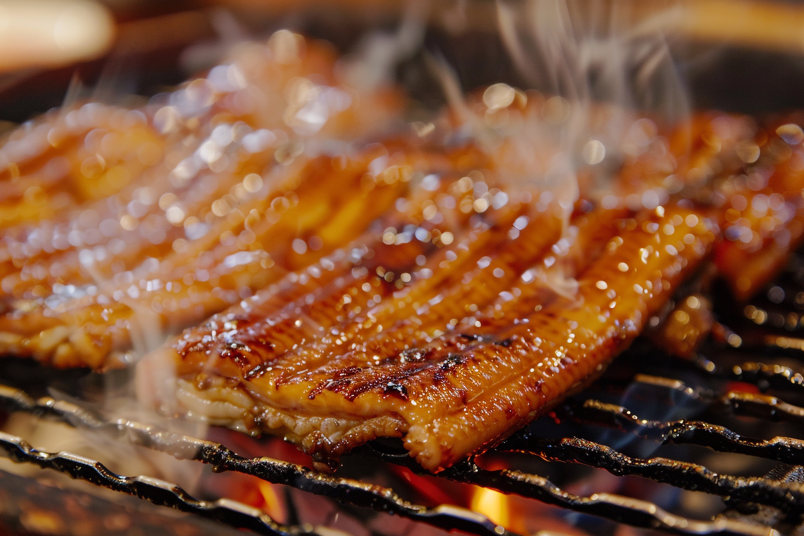 うなぎの蒲焼き