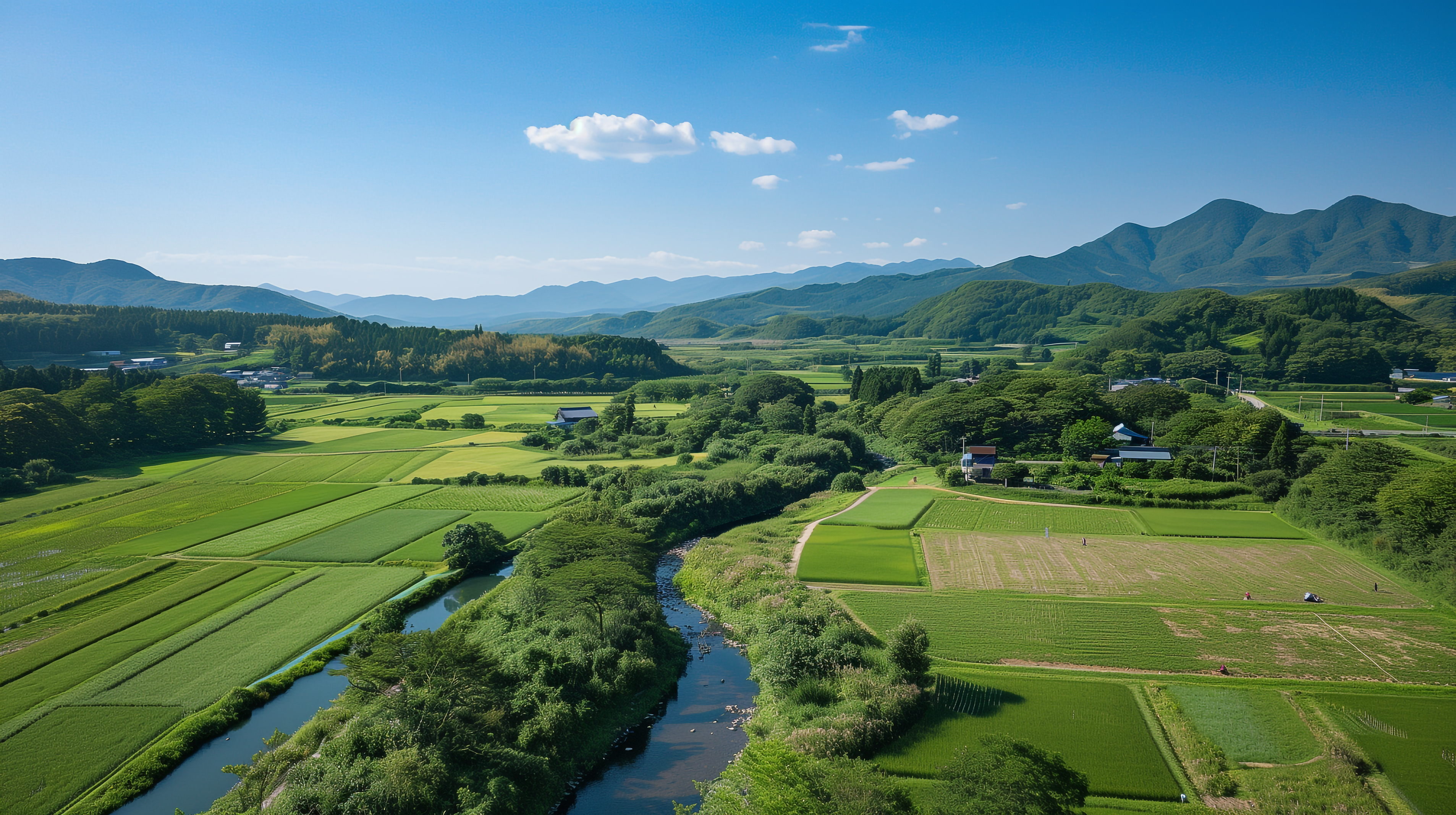 田舎の田風景