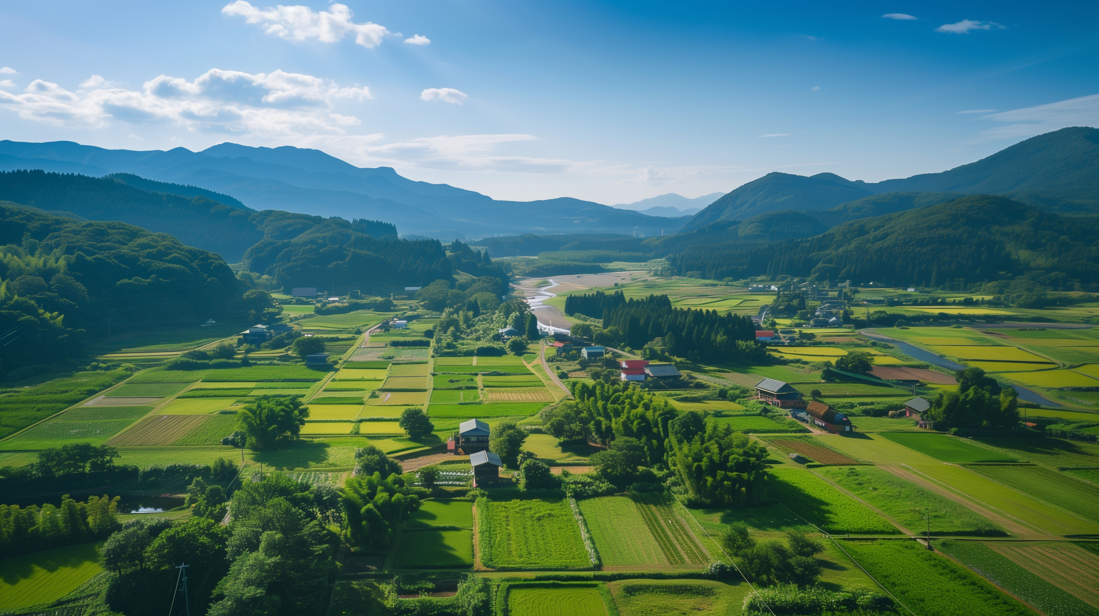 田舎の田風景